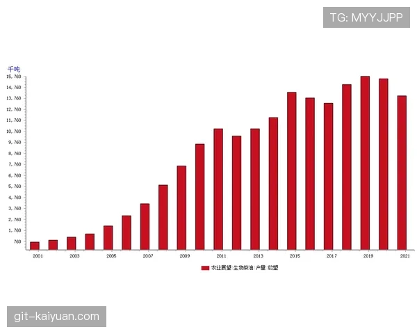 坦巴克蒂表现与市场价值关联性分析